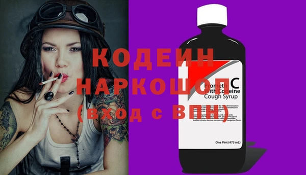 PSILOCYBIN Гвардейск