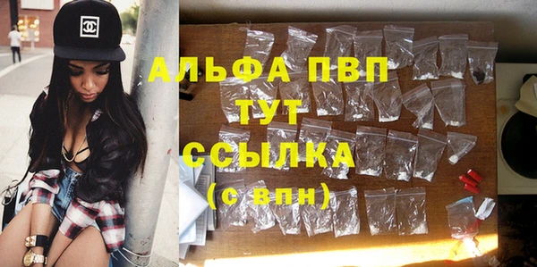 стаф Осташков
