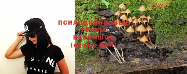 стаф Осташков