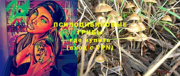 винт Пестово