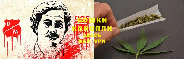 стаф Осташков