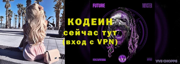 бошки Осинники