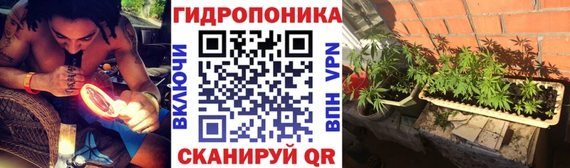 Конопля ГИДРОПОН Советск